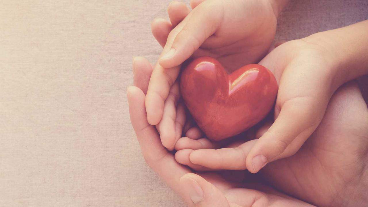 4 Lifestyle Habits that Support Heart Health How To Support Heart Health With Lifestyle Changes