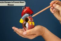 How To Support Heart Health With Lifestyle Changes