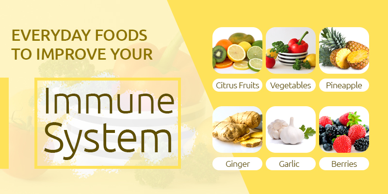 15 Foods To Boost Immune System: Unlock Your Body’s Defenses! » 2026 How Can I Boost My Immune System With Dietary Changes