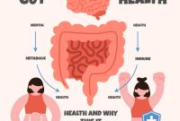 How Does Gut Health Affect Overall Well-Being