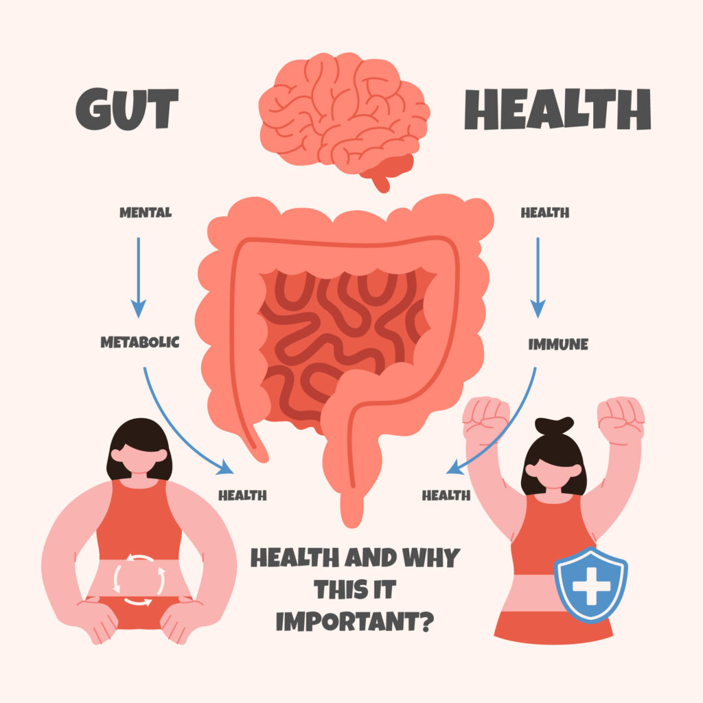 How Does Gut Health Affect Overall Well-Being