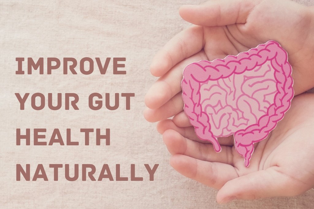 How to Improve Gut Health Naturally? - WFD How to Improve Gut Health Naturally? - WFD
