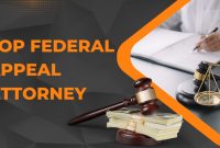 How To Appeal A Court Decision Effectively