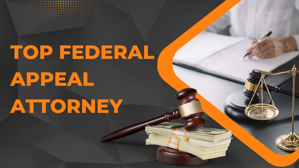 How To Appeal A Court Decision Effectively