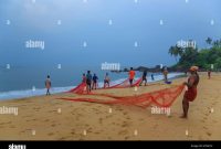 Sunset at Chera (Cherai) beach near the village of Thottada, 10 km ... What To Check Before Buying A Used Car